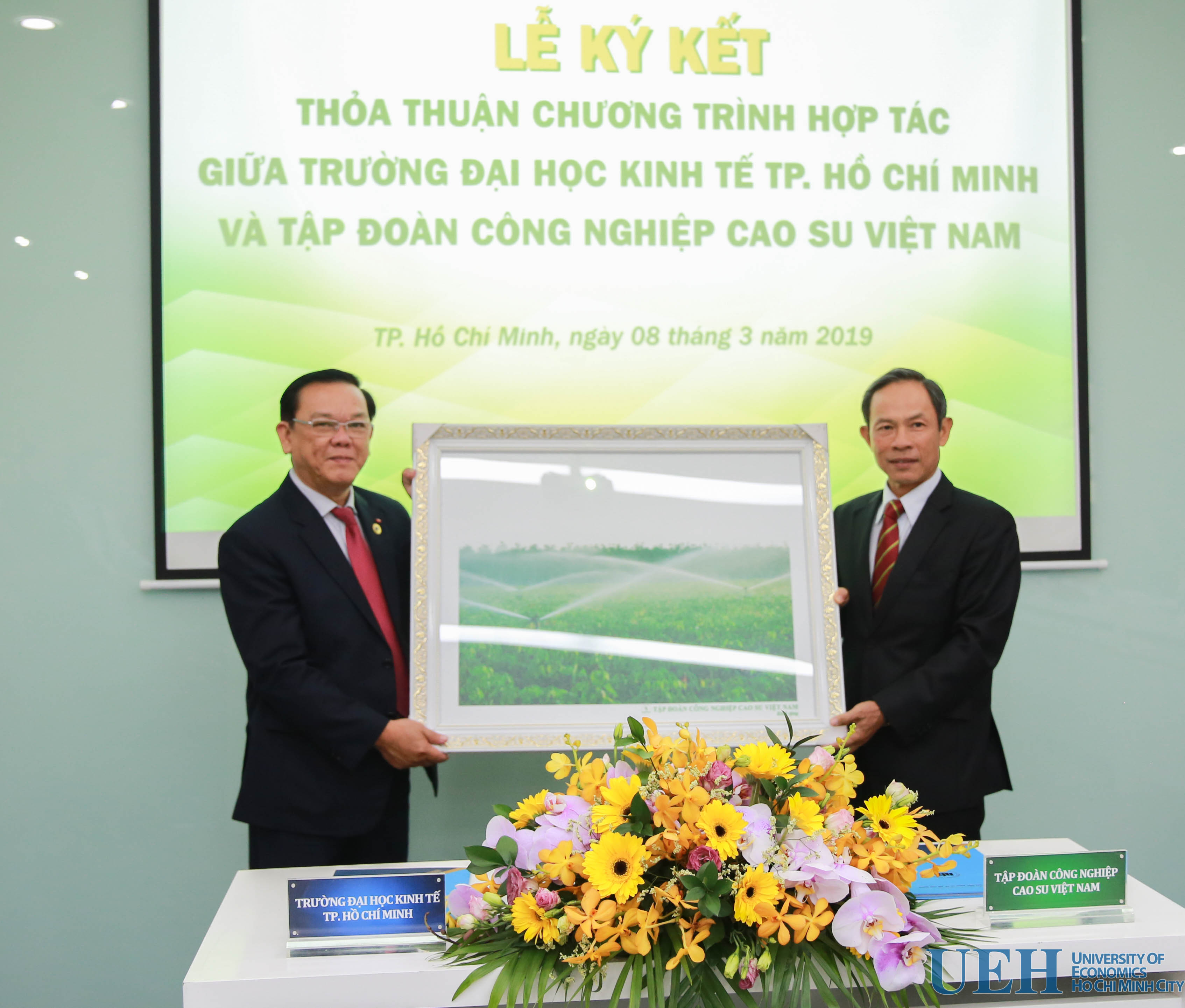 cá cược thể thao hul city